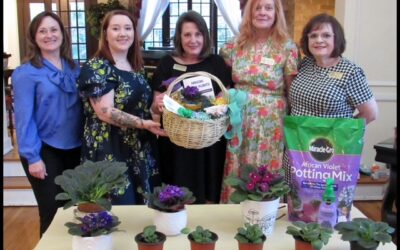 April meeting 2025 – African Violets